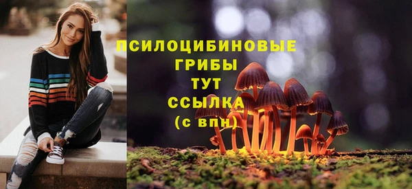 мет Верея