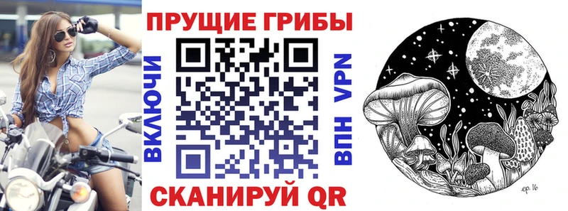 Галлюциногенные грибы GOLDEN TEACHER  Полесск 